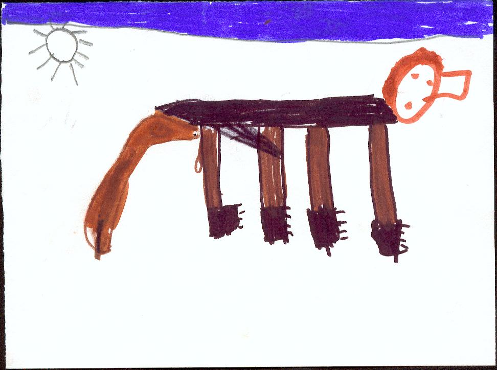 Les aventures du cheval